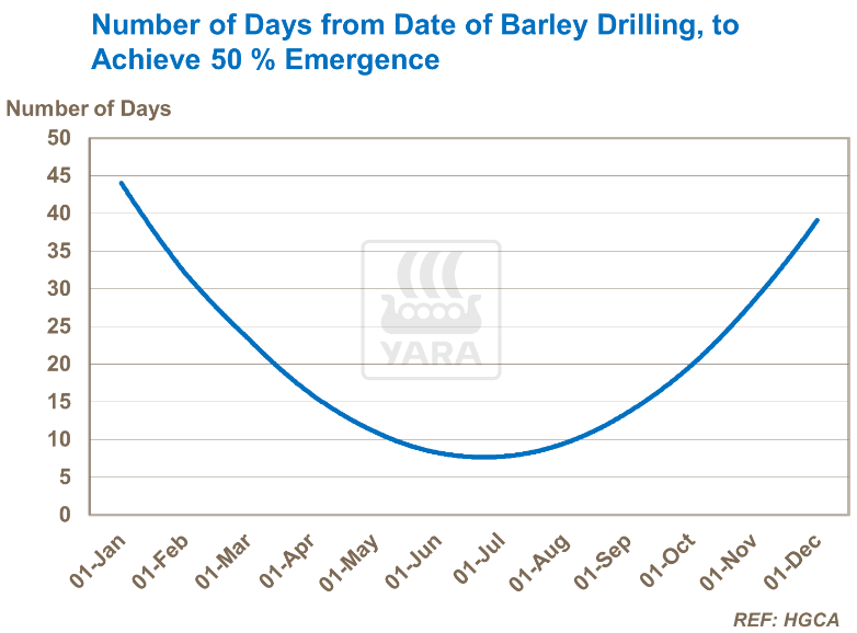 nombre de jours depuis forage pour atteindre émergence à 50 %