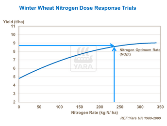 Rapport entre rendement et taux d'azote