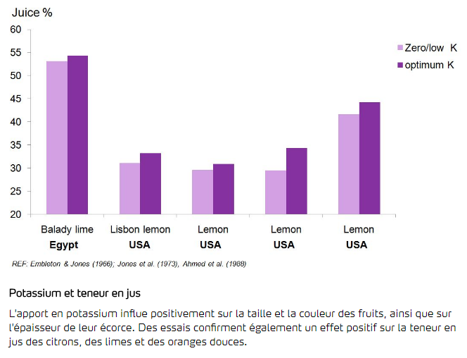 Potassium et teneur en jus