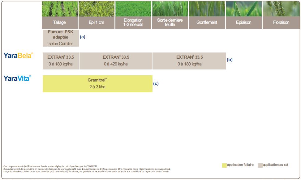 Programme de nutrition du le blé fourrager