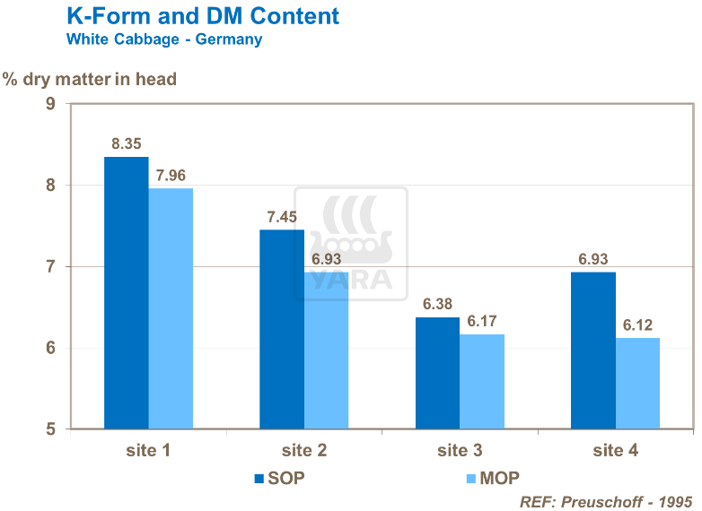 Teneur en matière sèche -Chou blanc 