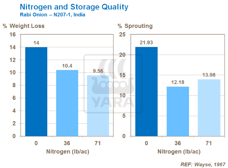 Azote et qualité du stockage