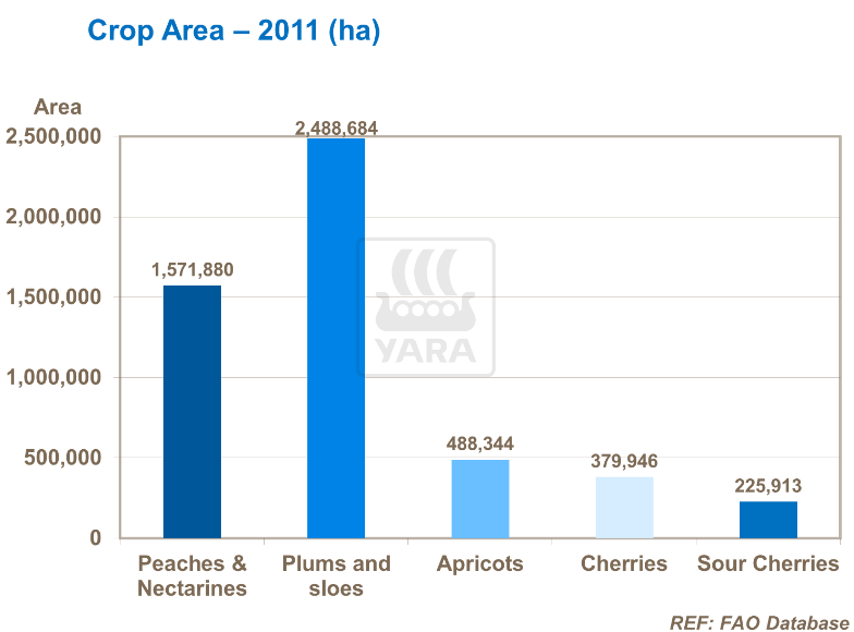 Zone de culture - 2011