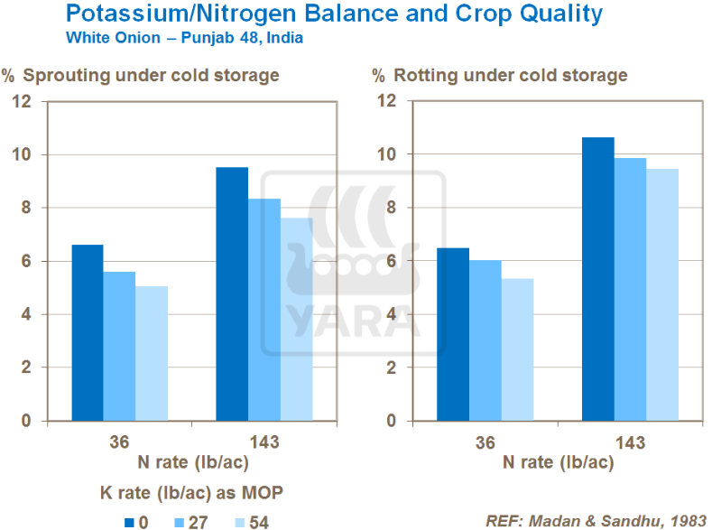 Équilibre potassium/azote et qualité des cultures