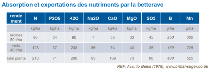 Absorption et exportation des nutriments par la betterave