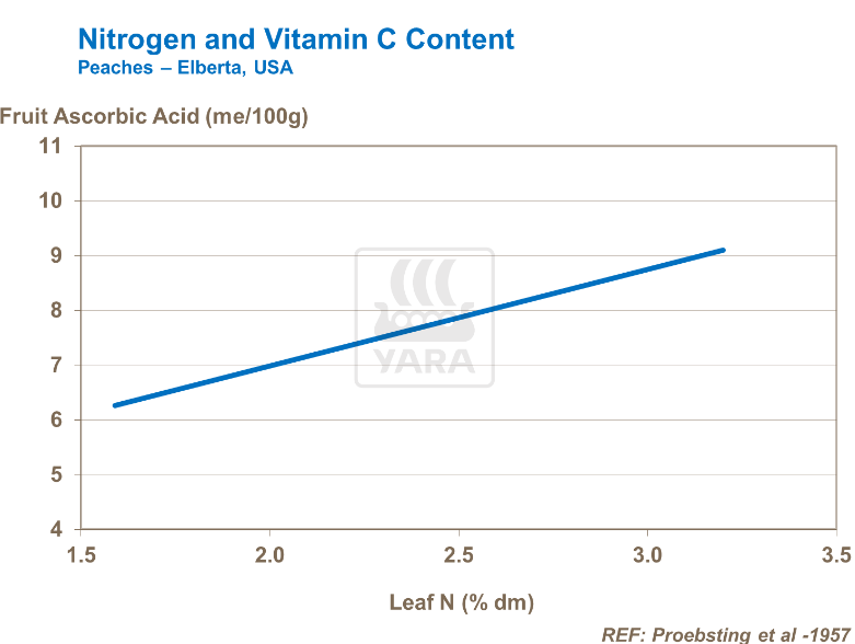 Azote et teneur en vitamine C - Pêches 