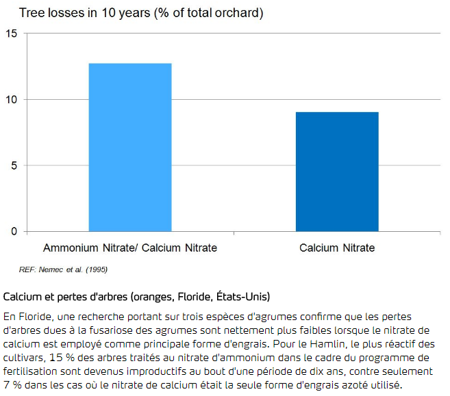 Calcium et pertes d'arbres - Oranges