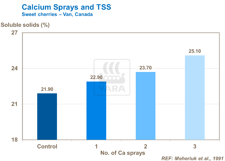 Vaporisation de calcium et SST