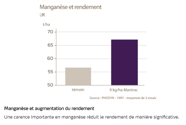 Manganèse et rendement