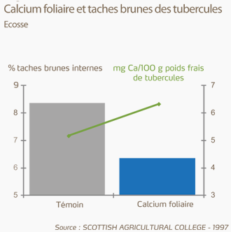 Calcium foliaire et taches brunes des tubercules