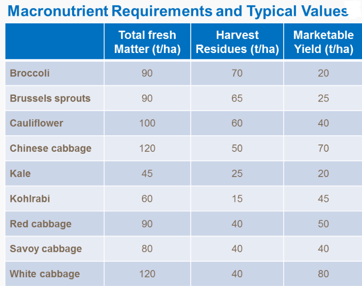 Exigences en macronutriments et valeurs typiques