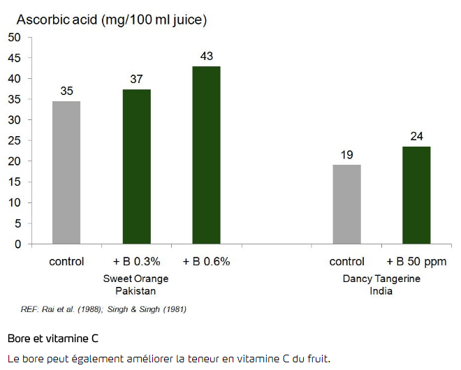 Bore et vitamine C