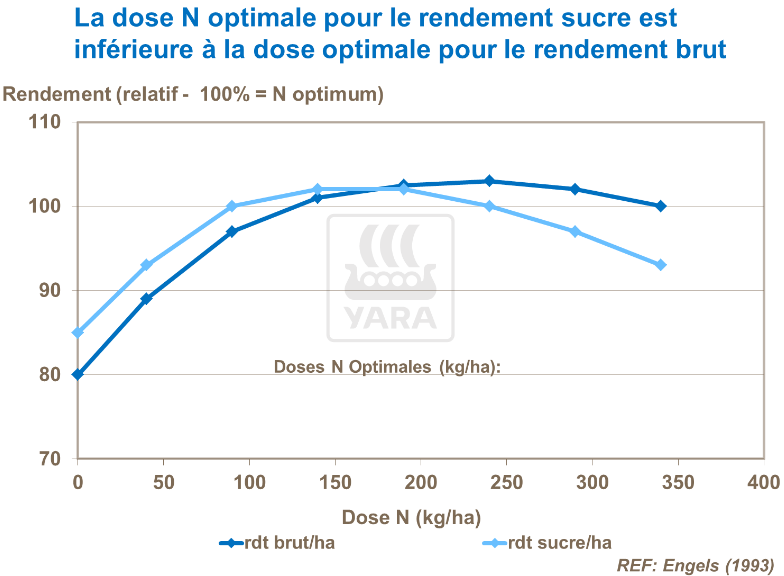 La dose d'azote optimale pour rendement sucre est inférieure à celle pour rendement brut