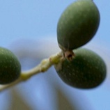 Engagement et politique