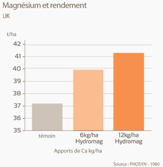 magnésium et rendement