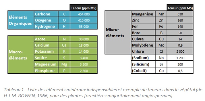 liste les éléments minéraux actuellement connus pour être indispensables à la plante supérieure