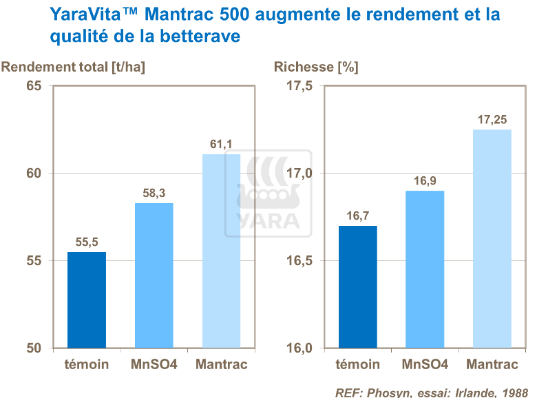 YaraVita Mantrac 500 améliore le rendement et qualité