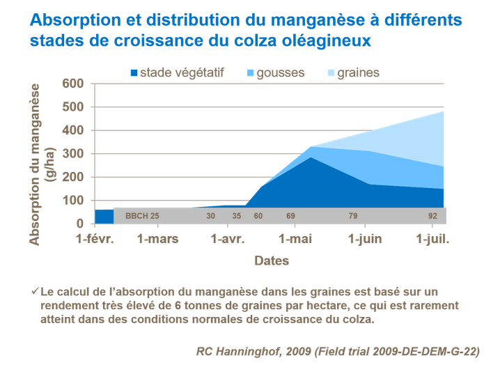 Graphique sur l'absorption et distribution du mangan&egrave;se &agrave; diff&eacute;rents stades de croissance du colza ol&eacute;agineux