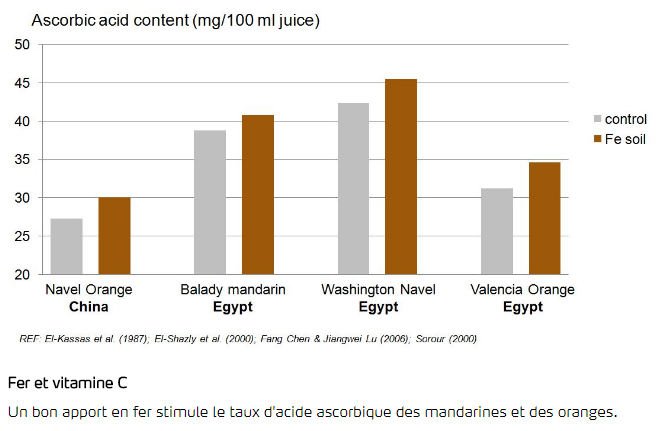 Fer et vitamine C