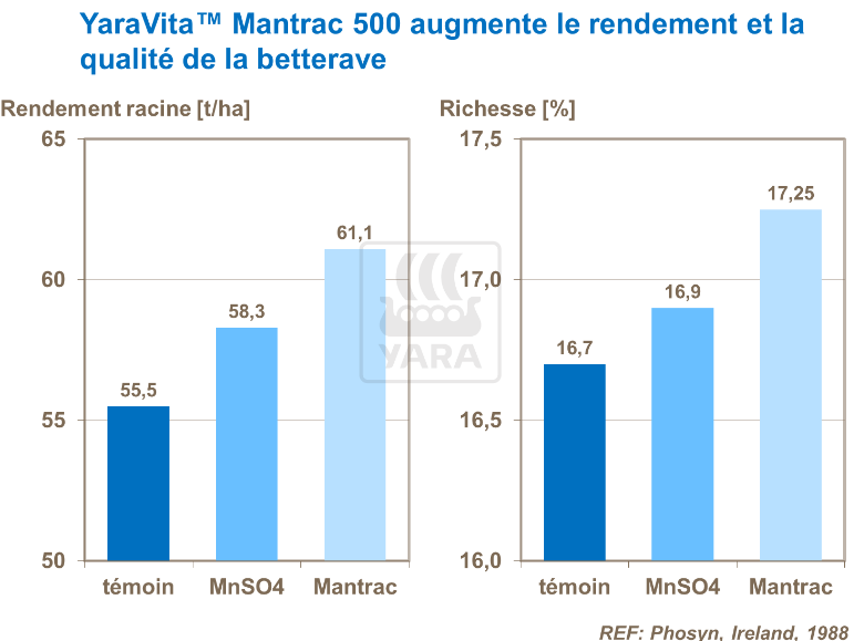 Effets de Yara Vita Mantrac 500 sur rendement et qualité de la betterave