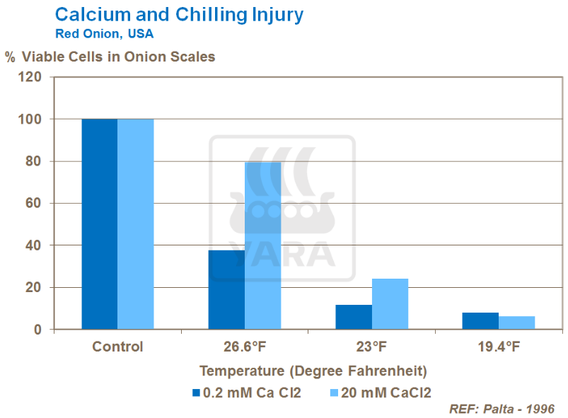 Calcium et altérations dues au froid 