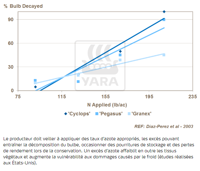 Azote et pourriture du bulbe pendant le stockage