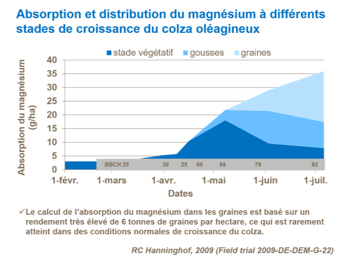 Graphique sur l'absorption et distribution du magn&eacute;sium &agrave; diff&eacute;rents stades de croissance du colza ol&eacute;agineux