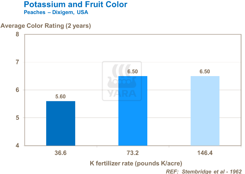 Potassium et couleur des fruits - Pêches 