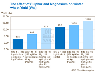Effets du soufre et magnesium sur couvert