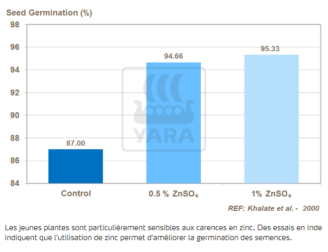 Zinc et germination des semences 