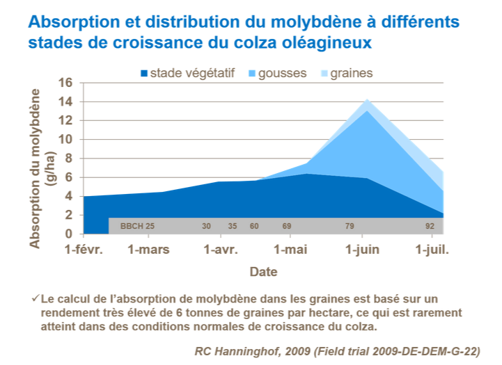 Graphique sur l'absorption et distribution du molybd&egrave;ne &agrave; diff&eacute;rents stades de croissance du colza ol&eacute;agineux