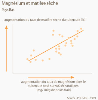 magnésium et matière sèche 