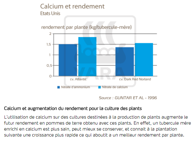 calcium et rendement