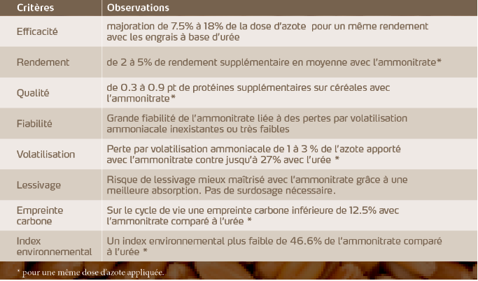 Effet de l'azote sur les cultures 