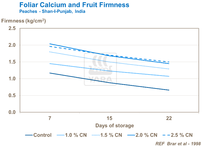 Calcium foliaire et fermeté des fruits - Pêches