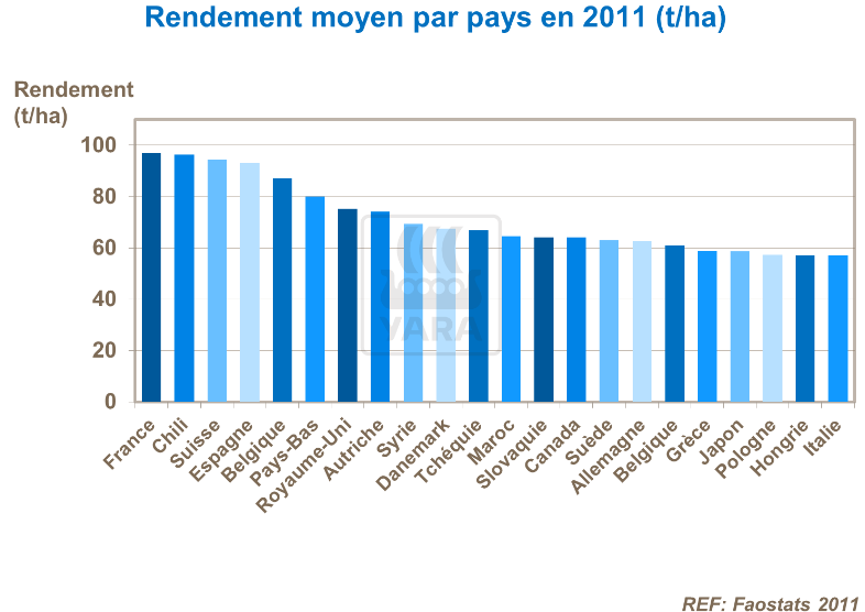 Rendement moyen par pays en 2011