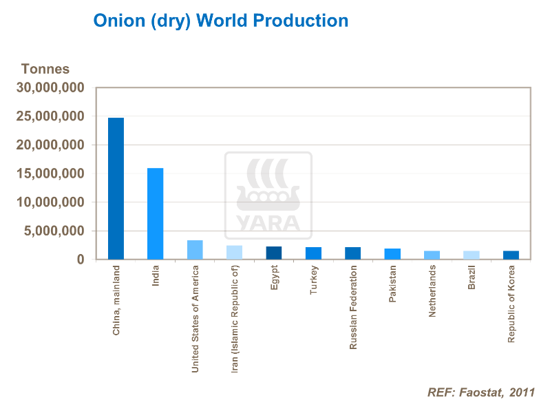 Production mondiale d'oignon (2011)