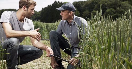 Deux agriculteurs discutent dans un champs