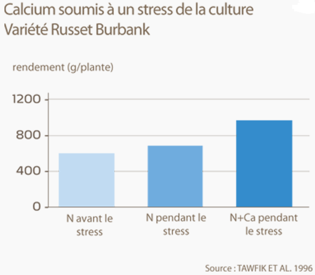 Calcium r&eacute;duit stress d&ucirc; aux fortes chaleurs