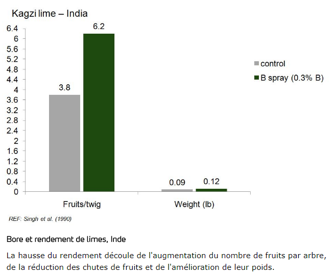 Bore et rendement de limes