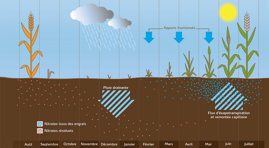 Schéma du lessivage