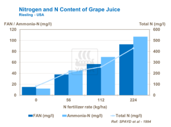 Graphique sur azote dans jus de raisin