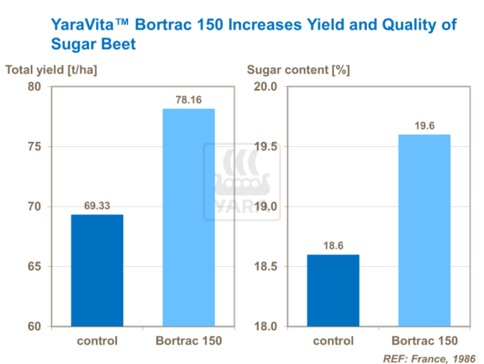 Graphique sur Yara Vita Bortrac augmente le rendement et la qualité des betteraves