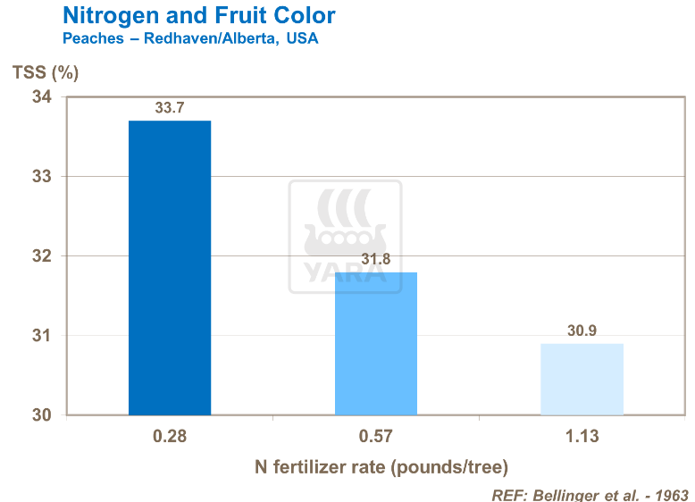 Azote et couleur des fruits -Pêches