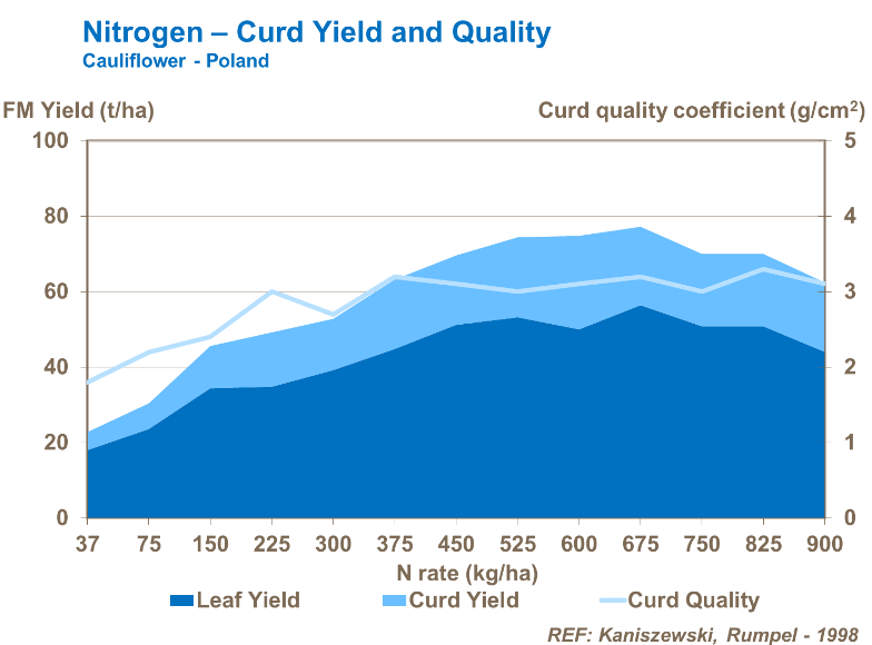 Azote - Rendement et qualité de la chaire du chou-fleur