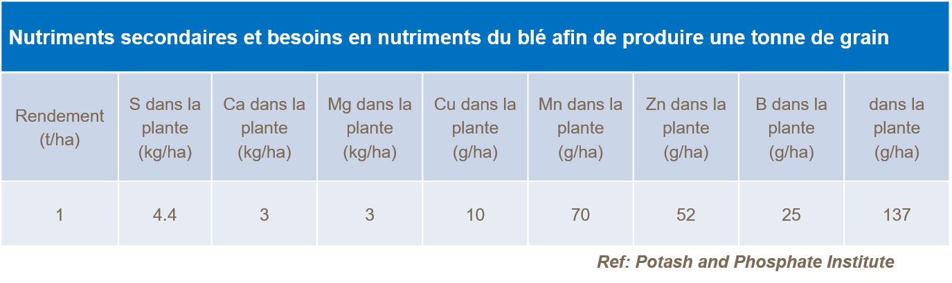 Nutriments secondaires et besoins en nutriments du blé afin de produire une tonne de grain