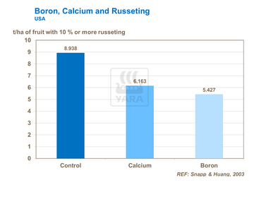 Graphique incidence du bore et calcium sur microfissures