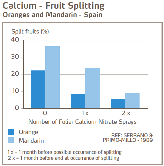 Calcium et éclatement des fruits - Oranges et mandarines