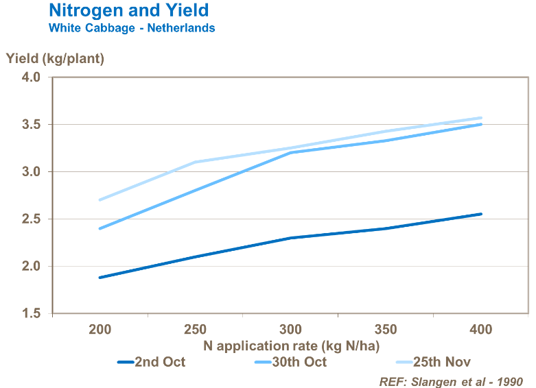Azote et rendement - Chou blanc 