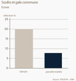 Soufre et gale commune